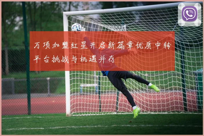 万项加盟红星开启新篇章优质中转平台挑战与机遇并存