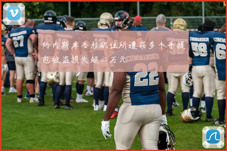 约内斯库洛杉矶住所遭窃多个手提包被盗损失超六万元